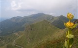 Francouzské sopky a kaňony kraje Auvergne letecky - Francie - Auvergne - hřebeny tvořené vrcholy sopek a žluté hořce