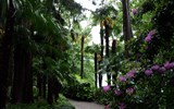 Nejkrásnější zahrady Itálie 2019 - Itálie - ostrůvky Brissago - botanická zahrada