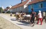 Nostalgie na Zakarpatské Ukrajině, krajem Nikoly Šuhaje - Ukrajina - Podkarpatská Rus - uličky jedné z vesnic