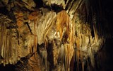 Slovinsko, hory, jezera a moře - Slovinsko -  Postojenské jeskyně, největší jeskynní komplex Evropy, přes 20 km podzemních chodeb