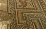 Jordánsko a Izrael, biblické památky a Mrtvé moře - Jordánsko - mozaika v raně křesťanském kostelíku