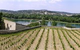 Pohodová Provence i pro gurmány za gastronomií a vínem - Francie - Provence - Avignon, tzv. skály dómské - vinice papežů