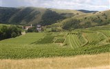 Alsasko, pohádka nejen o víně, slavnost trubačů - Francie - Alsasko - země vína a obilí