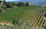 Toskánsko a mystická Umbrie - Itálie - vinice u Montepulciana produkují proslulá vína nejvyšší kvality