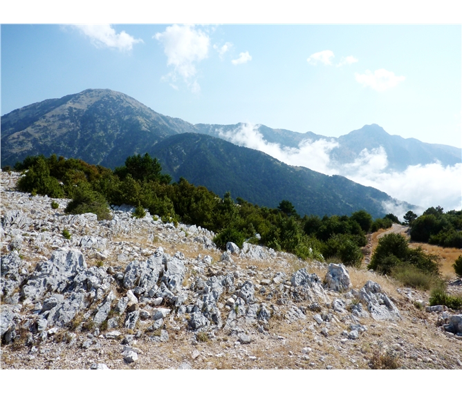 Tajuplným Balkánem do Albánie - Albánie - Llogarský průsmyk, oblast národního parku Llogara chrání nádherné horské lesy