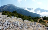 Srdcem Albánie na jih do bájného Butrintu - Albánie - Llogarský průsmyk, oblast národního parku Llogara chrání nádherné horské lesy