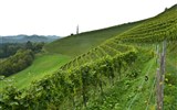 Štýrsko, zážitkový víkend mnoha nej a Medvědí soutěska - Rakousko - Štýrsko - naučná vinařská stezka Silberberg