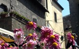 Zahrady krajů Lazio a Toskánsko, Den květin ve Viterbu - Itálie - Lazio - Viterbo, slavnosti květin, krása květů jako kontrast ke strohosti kamene