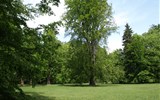 Krásy Českého ráje - Česká republika - Sychrov, širší 
okolí zámku tvoří velký anglický park