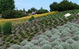 Krásy jarních zahrad Saska a Lužice 2019 - Německo - Nochten - Findlingspark, najdete zde přes 500 druhů trvalek