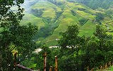 Poznávací zájezd - Vietnam - Vietnam - v hornatém terénu jsou svahy pokryty terasovými políčky