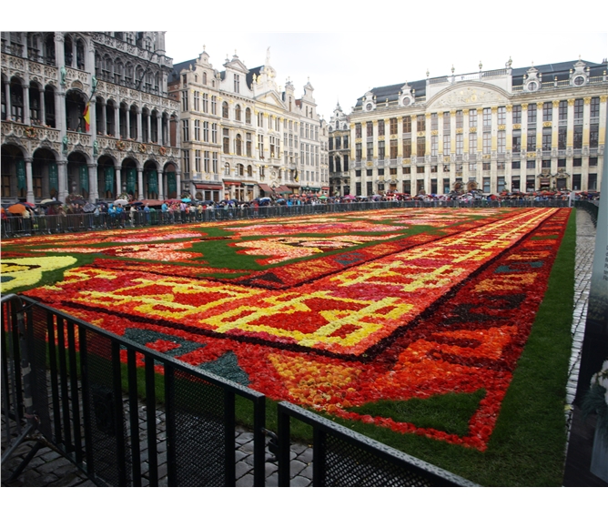 Belgie, památky UNESCO a květinový koberec 2018 - Belgie - Brusel, květinový koberec, vždy na svátek Nanebevzetí P.Marie