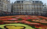 Belgie, památky UNESCO a květinový koberec 2018 - Belgie - Brusel, květinový koberec, přes 500.000 begónií