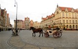 Wroclaw, město sta mostů a město kultury a 2017 - Polsko - Vratislav (Wroclaw), hlavní náměstí, tzv. Rynek, 213x178 m, jedno z největších v Evropě