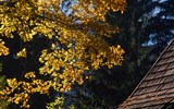 Barevná Malá Fatra po železnici a Jánošíkovy slavnosti 2017 - Slovensko - Malá Fatra - v horách přichází podzim brzo (foto Lukáš Zedníček)