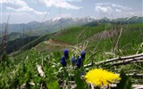 Poznávací zájezd - Arménie - Arménie - Selimský průsmyk také nazývaný Vardenyats
