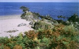 Irsko a Severní Irsko - Irsko - zvláštní krásu má zdejší pobřeží přizdobené kapradím