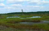 Národní parky Pobaltí a estonské ostrovy - Pobaltí - Estonsko - rašeliniště Lahemaa