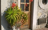 Ischia, ostrov termálů poznávací - Itálie - Ischia - kouzelná zákoutí vesniček na ostrově