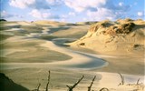 Cestou polských králů až k Baltu 2019 - Polsko - pobřeží Baltu - Slowinský národní park to je vítr a písek