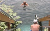 Poznávací zájezd - Hévíz - Maďarsko - termální lázně Hévíz - voda v jezeru má kubaturu asi 127.000 m3 a vymění se kompletně každých 3 a půl dne