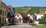 Poznávací zájezd - Alsasko - Francie - Alsasko - Ribeauville -pohled na vinice