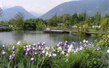 Poznávací zájezd - Itálie - Itálie - Merano - Trautsmansdorfské zahrady, kosatce u jezírka