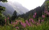 Poznávací zájezd - Přímořské Alpy - Itálie - Přímořské Alpy -  Valley del Valasco
