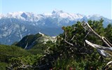 Poznávací zájezd - Slovinsko - Slovinsko - Julské Alpy - Triglav přes kosodřevinu