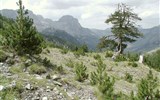 Poznávací zájezd - Albánie - Albánie - hory jsou zde stále divoké