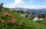 Slovinsko, jezerní ráj a Julské Alpy 2020 -  Slovinsko - Julské Alpy - pod Voglem