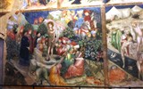 Poznávací zájezd - Marche - tálie - Marche - Urbino, kostel San Giovanni, scény z života sv.Jana