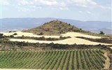 Poznávací zájezd - Španělsko - Španělsko - La Rioja, v provincii se víno pěstuje již od dob Féničanů