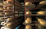 Poznávací zájezd - Slovinsko - Slovinsko - místy druhy sýrů