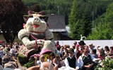 Poznávací zájezd - Rakousko - Rakousko - Bad Ausse - Narcisový festival