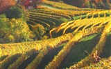 Tajemné jeskyně Slovinska a Itálie, víno a mořské lázně Laguna 2020 - Slovinsko - podzim na vinicích