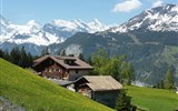 Ochutnávka Švýcarska s termály a turistikou - Švýcarsko - krása horských luk