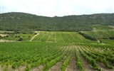 Poznávací zájezd - Languedoc - Frtancie - Languedoc - vinice v oblasti Pays Corbiéres-Minervois