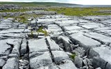 Poznávací zájezd - Irsko - Irsko - Burren, hezky je vidět síť původních puklin v hornině