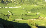 Ochutnávka Švýcarska s termály a turistikou - Švýcarsko - téměř všechno víno co se vypěstuje se zde i vypije, taková dobrota se přece nevyváží