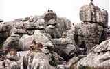 Andalusie, památky, přírodní parky a Sierra Nevada 2020 - Španělsko - Andalusie - překvapivé setkání v přírodním parku El Torcal