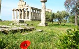 Kalábrie a Apulie, toulky jižní Itálií s koupáním - Itálie - Paestum - Athénin chrám, 500 př.n.l, v dórsko-ińské slohu
