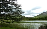 Velký okruh Irskem - Irsko - NP Connemara - voda a rašeliniště