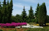 Krásy jarních zahrad Saska a Lužice 2020 - Německo - Nochten - Findlingspark, tak takováhle nádhera vznikla na výsypkách tvořených hlušinou