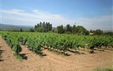 Přírodní parky a památky Provence 2020 - Francie - Provence - v okolí Bonnieux se vyrábí AOC vína Ventoux a Luberon.
