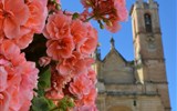 Andalusie, památky UNESCO a přírodní parky 2019 - Španělsko - Andalusie - Antequera, prolínání krásy květů a krásy architektury (foto Petra Dohodilová)