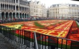 Poznávací zájezd - Belgie - Belgie - Brusel - Tapis de Fleurs