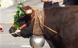 Poznávací zájezd - Švýcarsko - Švýcarsko - Wallis - i zde najdete slavnosti shánění stád