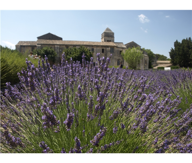 Provence s vůní levandule a koupáním, letecky 2020 - Francie - Provence - St.Paul de Mausolée, jak lehce se vcítíš do Goghových obrazů