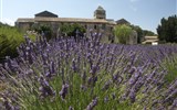 Provence s vůní levandule a koupáním, letecky - Francie - Provence - St.Paul de Mausolée, jak lehce se vcítíš do Goghových obrazů